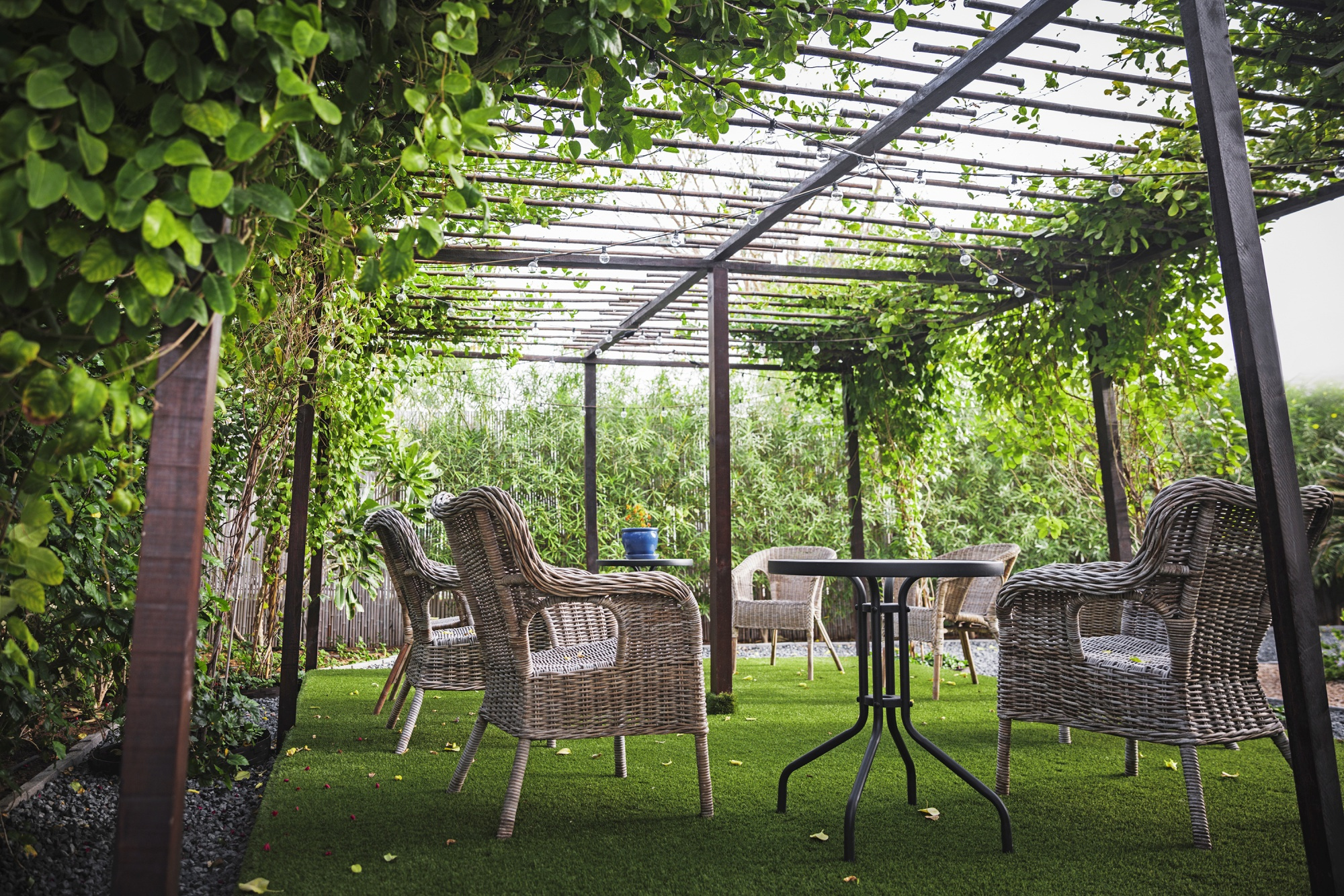 Espace détente extérieur avec Gazon Estival - 28mm au sol, salon de jardin sous pergola végétale