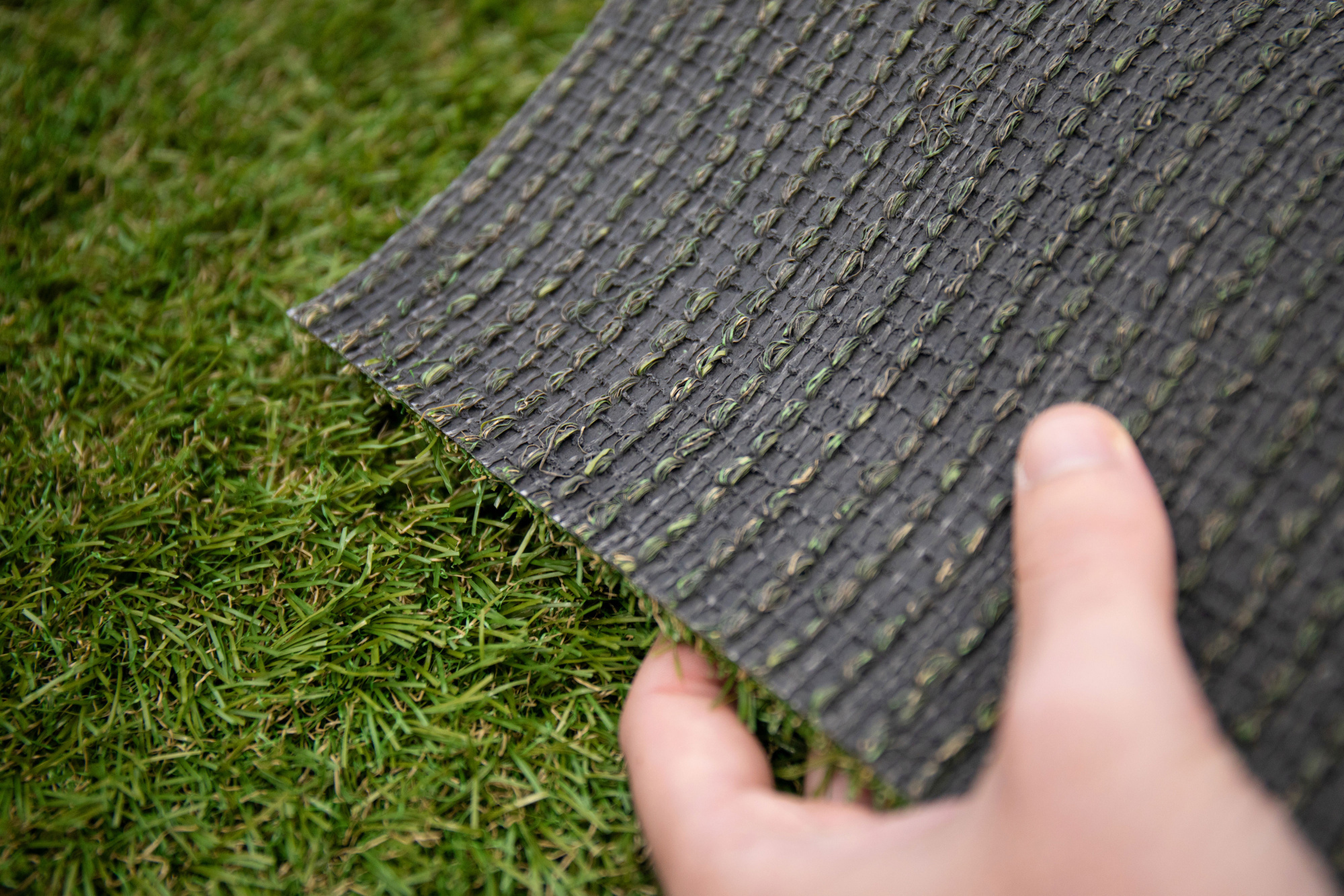 Envers du Gazon Estival - 28mm, vue sur le dossier technique