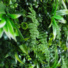 Mur artificiel plantes exotiques synthtiques - gros plan