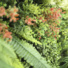 Mur artificiel plantes bucoliques synthtiques - feuilles