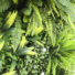 Mur artificiel plantes bucoliques synthtiques - gros plan