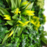 Mur artificiel plantes printanires synthtiques - gros plan